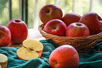 TGA：2D手绘肉鸽游戏《祝你好死》预告公布 明年3月上线